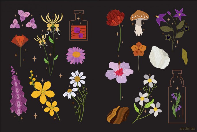 Botanical Magickal Stickers Spells [KSIĄŻKA]