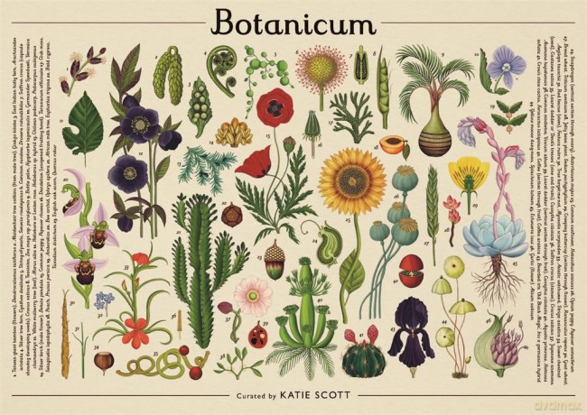 Botanicum 1000 Piece Jigsaw Puzzl [KSIĄŻKA]