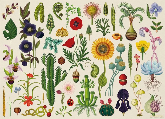 Botanicum 1000 Piece Jigsaw Puzzl [KSIĄŻKA]