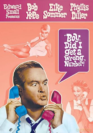 Boy Did I Get A Wrong Number [DVD]