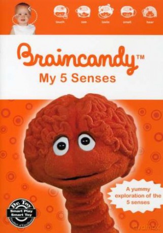 Braincandy: My Five Senses [DVD]