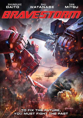 Bravestorm [DVD]