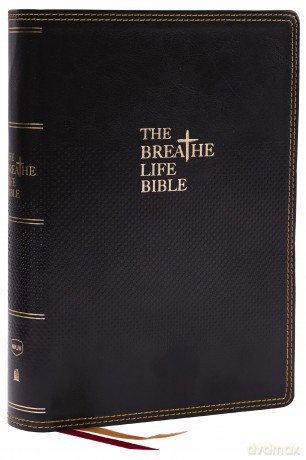 Breathe Life Holy Bible F Hb [KSIĄŻKA]