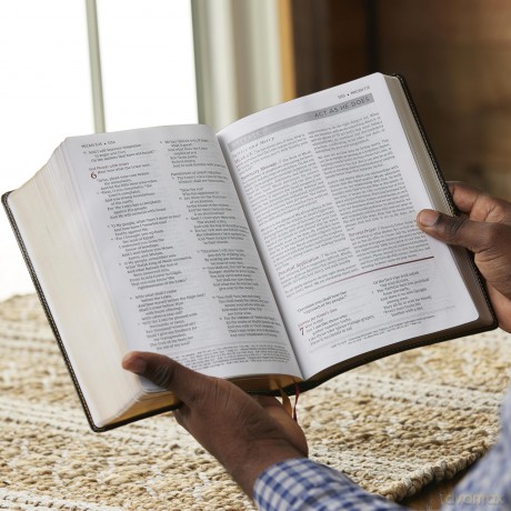 Breathe Life Holy Bible F Hb [KSIĄŻKA]