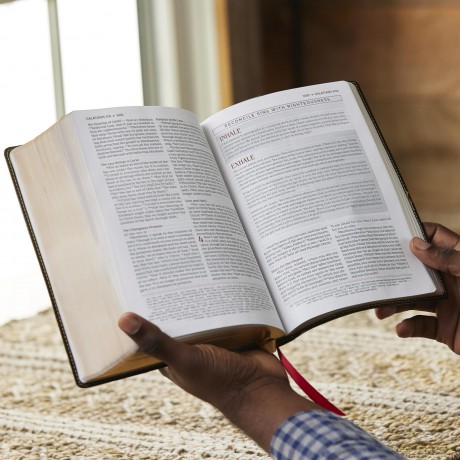 Breathe Life Holy Bible F Hb [KSIĄŻKA]