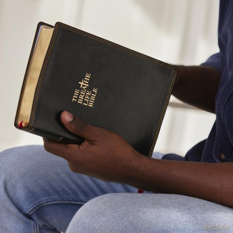 Breathe Life Holy Bible F Hb [KSIĄŻKA]
