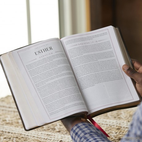 Breathe Life Holy Bible F Hb [KSIĄŻKA]