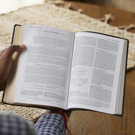 Breathe Life Holy Bible F Hb [KSIĄŻKA]