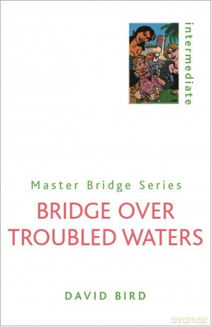 Bridge Over Troubled Waters [KSIĄŻKA]