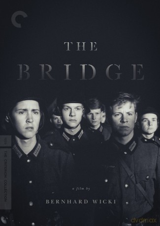 Bridge [DVD]
