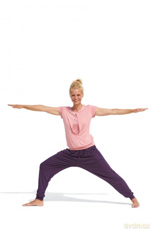 Brigitte-Yoga Flow [DVD]