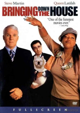 Bringing Down House (2003) [DVD]