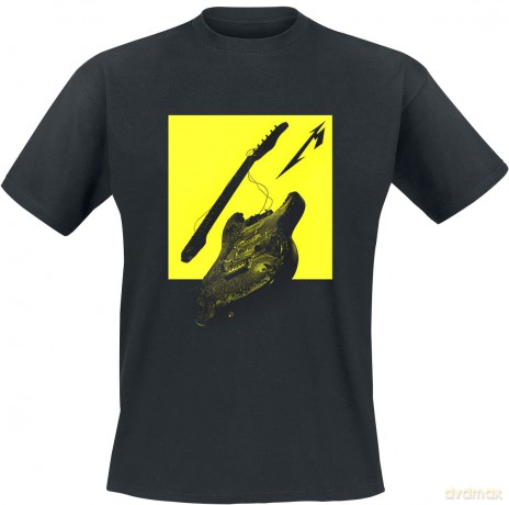 Metallica: Broken Burnt Guitar