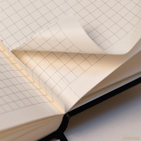 Brunnen: BRUNNEN Notizbuch KOMPAGNON A4 punktrast