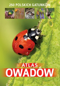Atlas Owadów. 250 Polskich Gatunków - Jacek Twardowski, Kamila Twardowska [KSIĄŻKA]