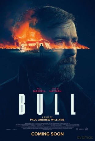 Bull [DVD]