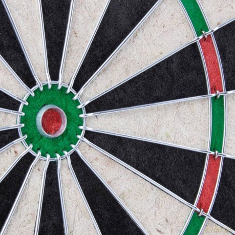 BULL'S Classic Bristle Dartboard