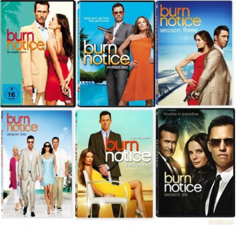 Burn Notice - Seizoen 2 [4DVD]