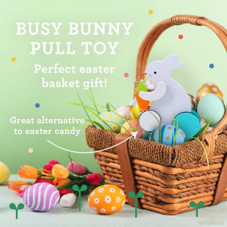 Busy Bunny Wooden Pull Toy [KSIĄŻKA]