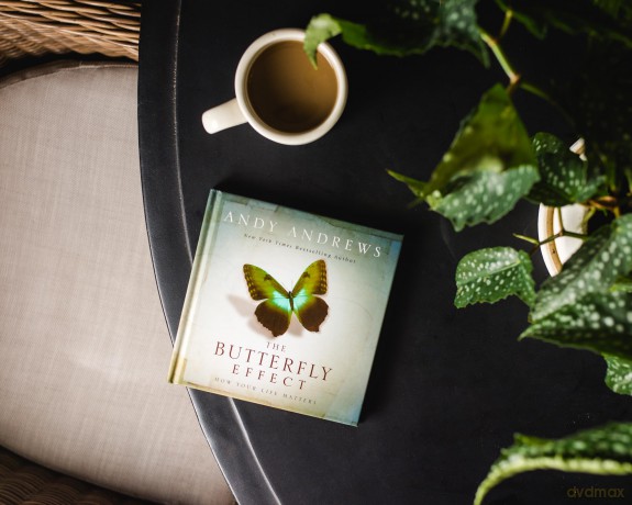 Butterfly Effect How Your Hb [KSIĄŻKA]