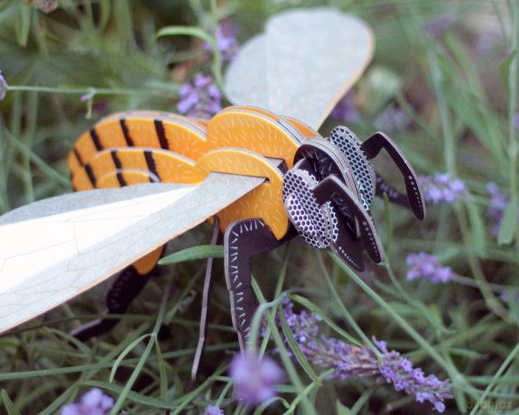 BYO Honey Bee [KSIĄŻKA]