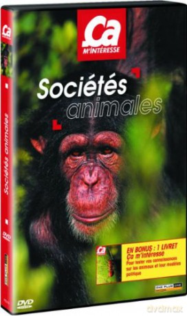 Ca M'interesse - Societes Animales [DVD]