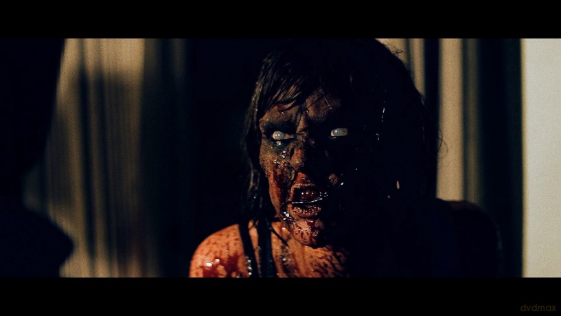 Cabin Of The Dead [DVD]