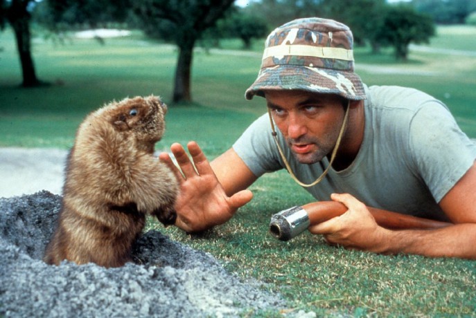 Caddyshack [DVD]