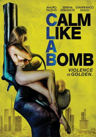 Calm Like A Bomb [DVD]