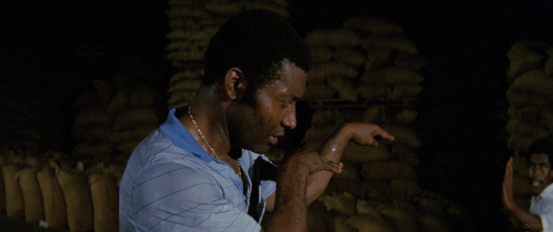Cameroun Connection [DVD]