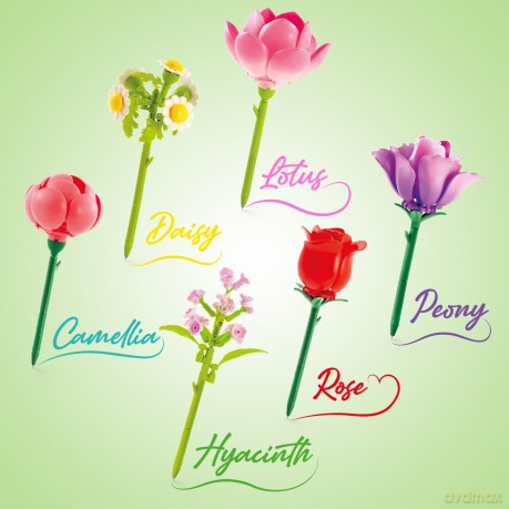 Canaltoys Flower Pen 1er-Pack im Displa10ZubehśrSONSTIGES540209930810.99114.04.202671789461 880609