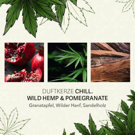 Candle Brothers Duftkerze CBD Vibe Coco