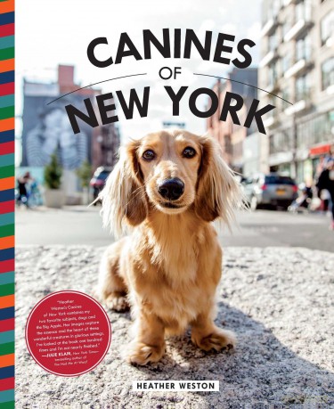 Canines of New York [KSIĄŻKA]