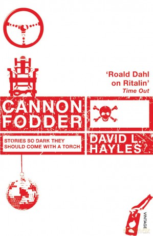 Cannon Fodder [KSIĄŻKA]