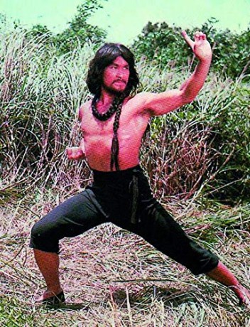 Cantonen Iron Kung Fu [DVD]