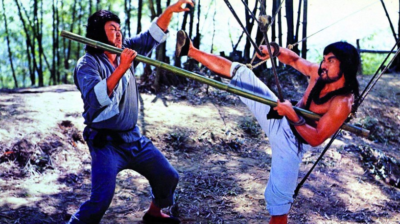 Cantonen Iron Kung Fu [DVD]