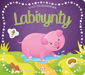 Książeczka Przedszkolaka. Labirynty - Anna Podgórska [KSIĄŻKA]