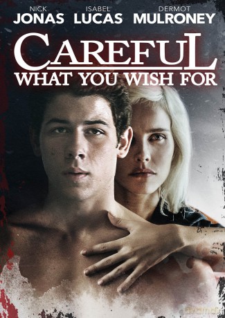 Careful What You Wish For [DVD]