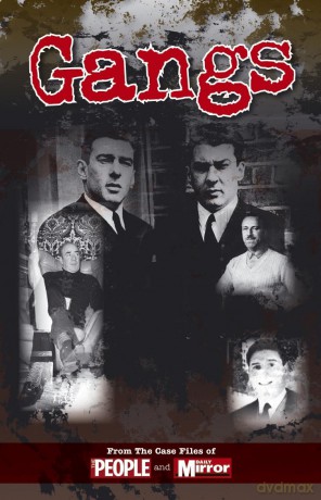 Case Files Gangs [KSIĄŻKA]