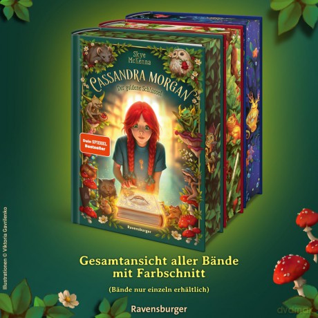Cassandra Morgan - Der goldene SchlźsseP10SpielwarenDIVERSE530217518515.99121.01.20260571234 40059