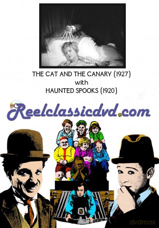 Cat And The Canary With Haunted Spooks [DVD]