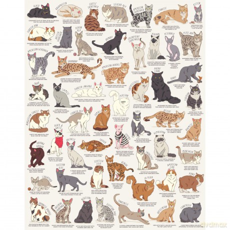 Cat Lovers 1000 Piece Jigsaw Puzzle