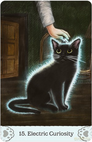 Cat Mythos Magick Oracle [KSIĄŻKA]