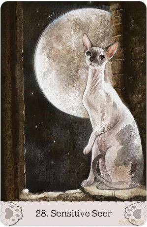 Cat Mythos Magick Oracle [KSIĄŻKA]