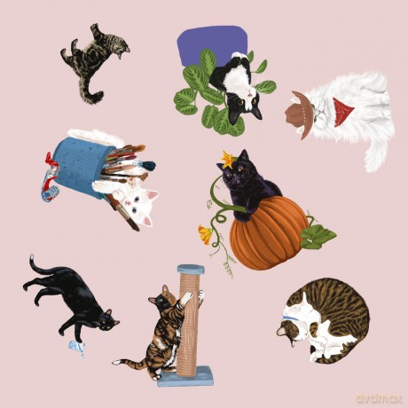 Cat Spotter [KSIĄŻKA]