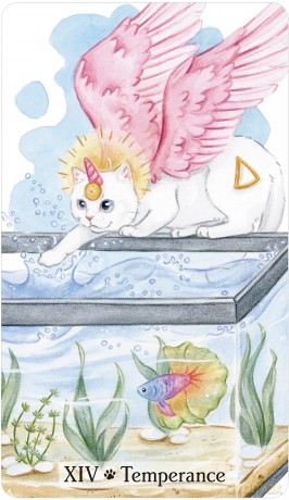 Caticorn Tarot [KSIĄŻKA]