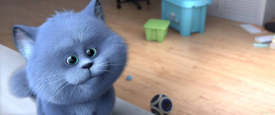 Cats [DVD]