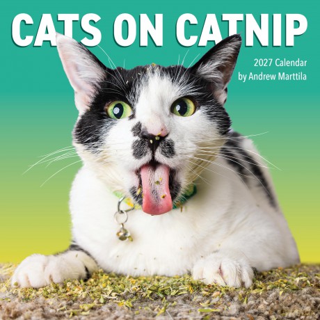 Cats on Catnip Wall Calendar 2027 [KSIĄŻKA]