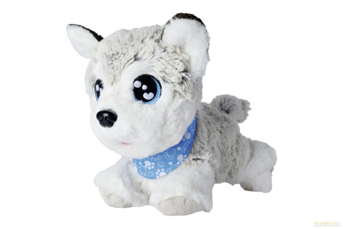 CCL Happy Husky
