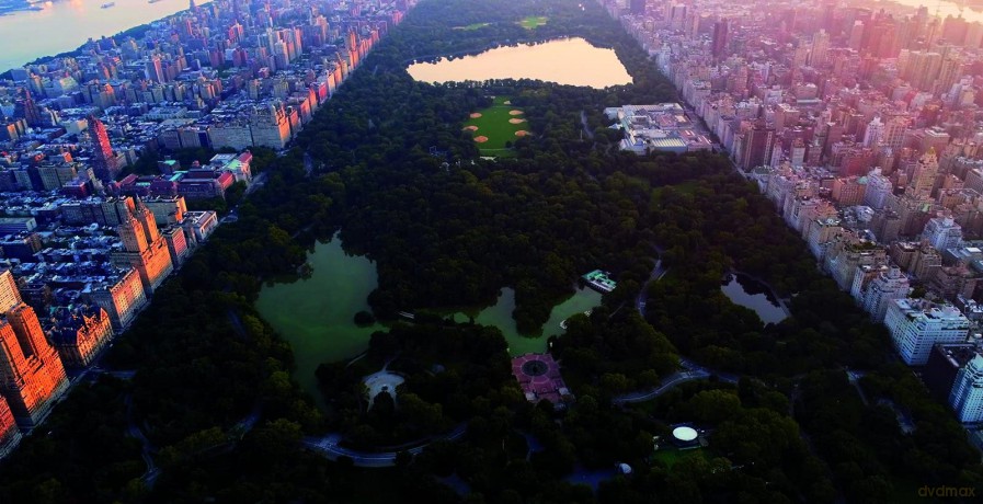 Central Park Dark - Albtraum In New York [DVD]